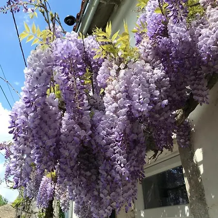 La Maison Glycine Nyaraló *