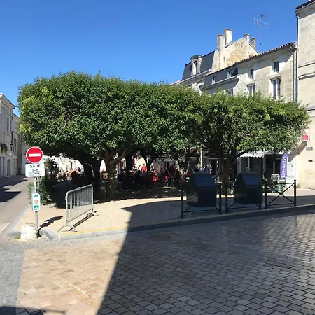 La Maison Glycine Holiday home